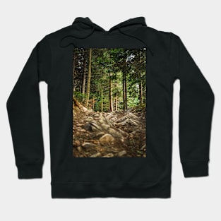 In the woods Hoodie